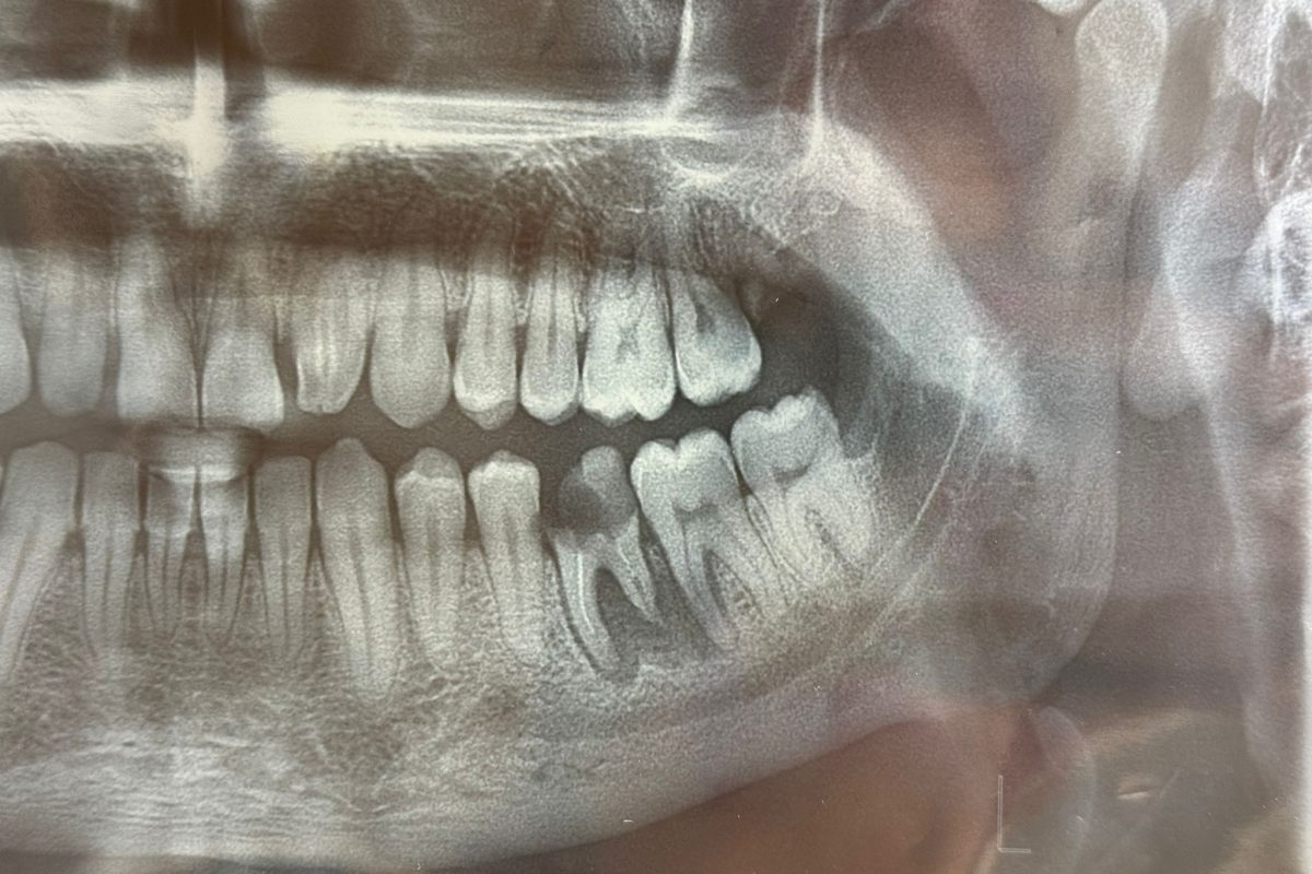 WhatsApp Image 2025-08-07 at 08.41.06_a4c85b97