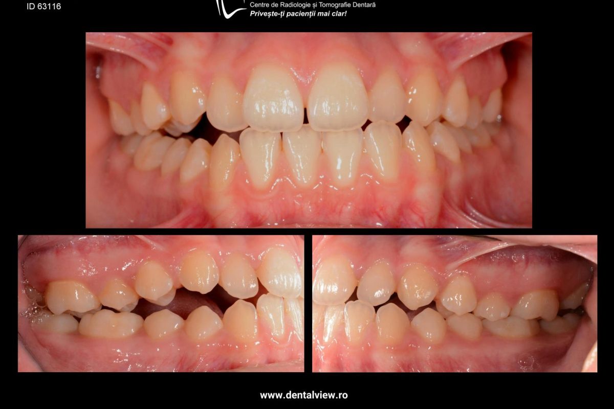 WhatsApp Image 2026-01-19 at 10.36.56